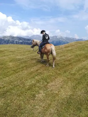 a person riding a horse in a field at Sporthotel Kalcherhof in Racines