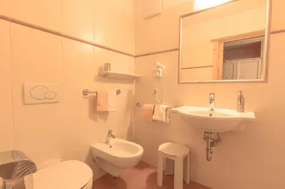 a bathroom with a sink and a toilet and a mirror at B&B Apartments La Palsa in San Cassiano