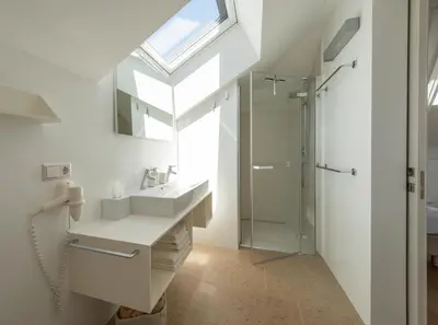 a bathroom with a sink and a shower and a skylight at Untermargarethenhof in Lana