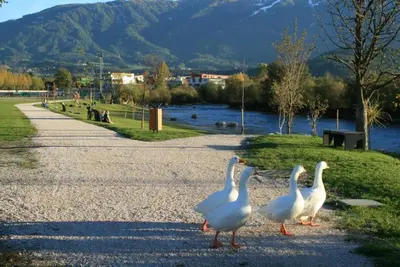 three geese walking on a path next to a lake at Gruppenhaus Thalackerhof in Brunico