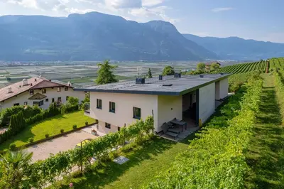 an aerial view of a house in a vineyard at Tholr - Ferienwohnungen - Tramin in Termeno