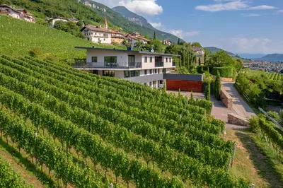 a vineyard on a hill with a house in the background at Tholr - Ferienwohnungen - Tramin in Termeno