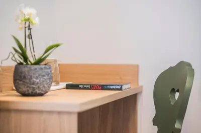 a shelf with two books and a vase with a plant at Gasthof Albergo Dolomiten in Braies