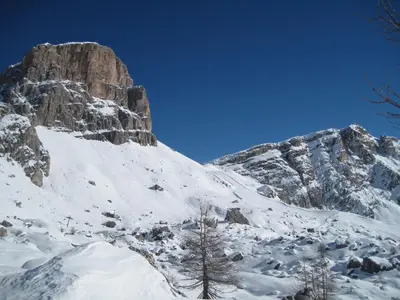 a mountain covered in snow with a tree at Hotel Albe in Rocca Pietore