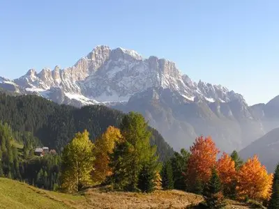 a view of a mountain with trees and snow at Appartamenti Regina in Alleghe
