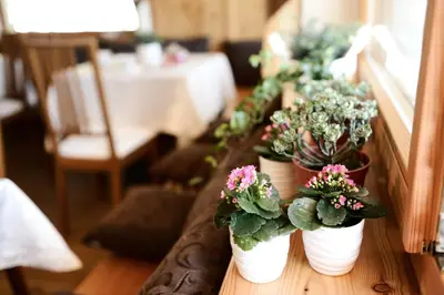 a row of potted plants sitting on a table at Chalet Rasteck in Campo Tures