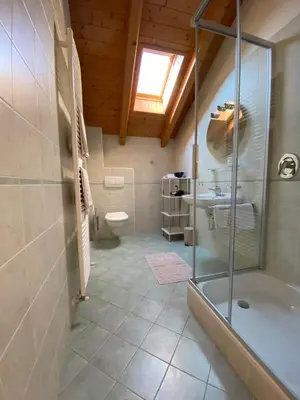 a bathroom with a shower and a sink and a toilet at Gästehaus Anna in Caldaro