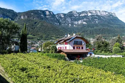 a house on a hill with mountains in the background at Gästehaus Anna in Caldaro