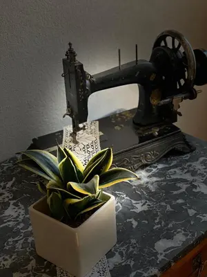 a sewing machine sitting on a table next to a plant at Gästehaus Anna in Caldaro