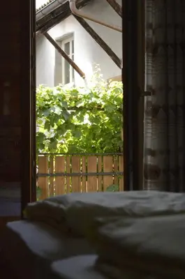 an open window with a view of a bush at Hof am Brunnen in Cornaiano