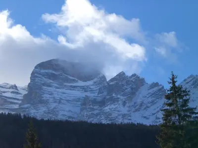 a snow covered mountain with trees in front of it at Hotel Villa Ines in Borca di Cadore