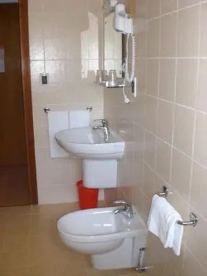 a bathroom with a toilet and a sink at Hotel Villa Ines in Borca di Cadore