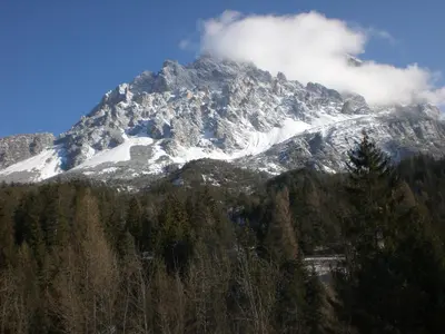 a mountain covered in snow with trees in front of it at Hotel Villa Ines in Borca di Cadore
