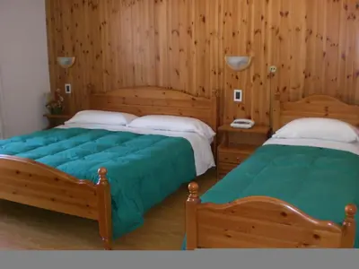 two beds in a room with wooden walls and wooden floors at Hotel Villa Ines in Borca di Cadore