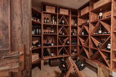a wine cellar with shelves of wine bottles at Hotel Foresta in Moena