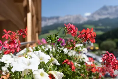 a bunch of flowers in front of a building at Wellness Hotel Gran Risa***S in La Villa