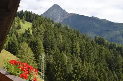 a view of a mountain from a balcony with flowers at Ferienwohnung Leachwies in Schenna