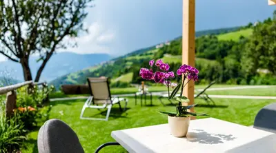 a table with a vase with purple flowers on it at Apartments Grunnes in Ortisei