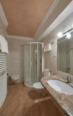 a bathroom with a shower and a sink and a toilet at Parc Hotel Tyrol in Castelrotto