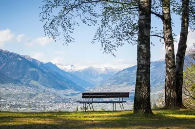 a park bench sitting next to a tree with mountains at Hotel Der Waldhof in Vollan