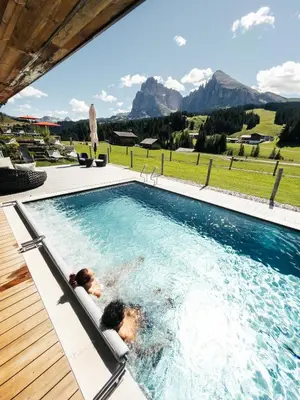 a bedroom with a bed and a desk in a room at Saltria - your Alpine experience in Alpe di Siusi