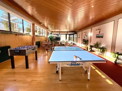 a ping pong room with a ping pong table at Piccolo Nido Falcade in Falcade