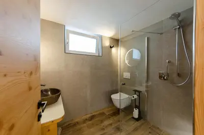 a bathroom with a shower and a toilet and a sink at Mason La Zondra in Vigo di Fassa