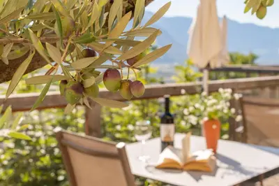 a table with a book and a bottle of wine on it at Panorama in Termeno