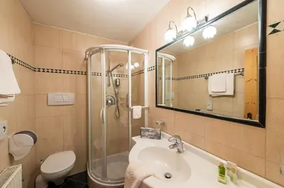 a bathroom with a sink and a shower and a toilet at Hotel Teresa in San Vigilio Di Marebbe