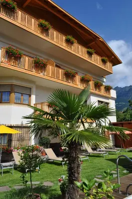 a palm tree in front of a building at B&B - Apartments Sunnwies in Marlengo