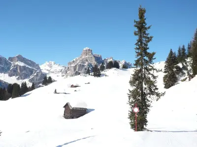 a small tree in the snow next to a cabin at Residence Costa Burjada in Colfosco