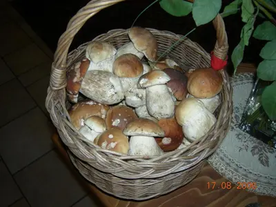 a basket full of mushrooms sitting on a table at B&B La Montanara in San Martino di Castrozza