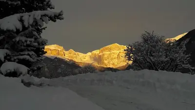 a snow covered mountain with trees in the background at Chalet Relax in Pozza di Fassa