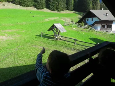 a child is looking out of a window at a field at Chalet Relax in Pozza di Fassa