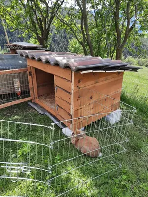 a wooden bird house with a cage in the grass at Agriturismo Ferienhof Gschloier - Adults Only in Laion