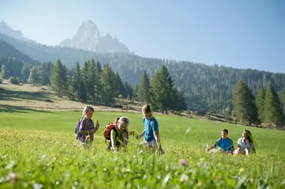 a group of children playing in a field of grass at Good Life Hotel Zirm in Obereggen