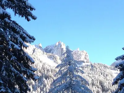 a snow covered mountain range with snow covered trees at Hotel Gran Mugon in Vigo di Fassa