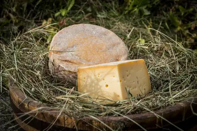 a block of cheese sitting next to a rock at Agritur Ciasa Dò Parè in Soraga