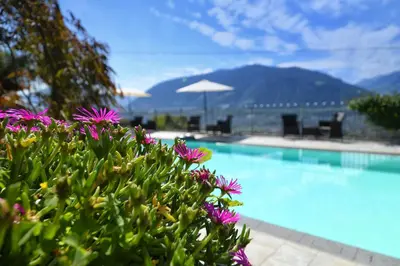 a swimming pool with purple flowers in front of it at Residence Boutique Sonne in Schenna