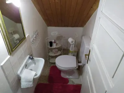 a small bathroom with a toilet and a sink at CASA IDA - ClPAT 22253 in Tregiovo