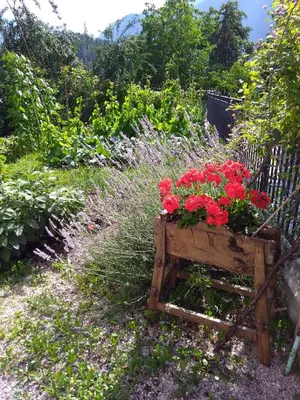 a garden with red flowers in a wooden box at CASA IDA - ClPAT 22253 in Tregiovo