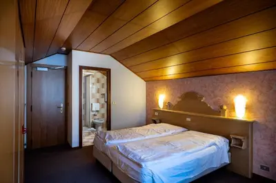 a bedroom with a large bed with a wooden ceiling at Hotel Al Polo in Ziano di Fiemme