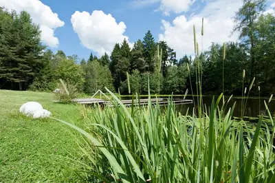 a pond in a field with tall grass at Hotel Ansitz Kematen ***S in Collalbo