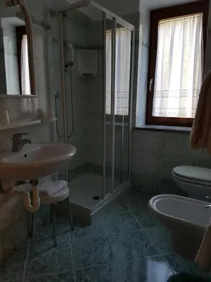 a bathroom with a shower and a sink and a toilet at Hotel Ciampian in Moena