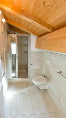 a bathroom with a toilet and a shower at Residence Fiegl in Schenna