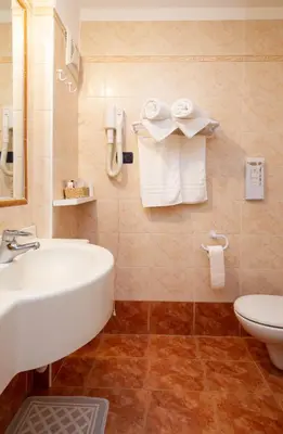 a bathroom with a sink and a toilet and towels at Hotel Cirelle Suite & Spa in Canazei