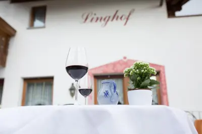 a table with two glasses of wine and a plant at LINGHOF in Tirolo