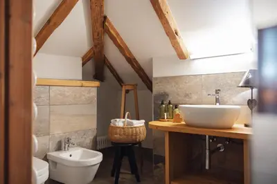 a bathroom with a sink and a toilet at Bio Boutique Hotel Laurino in Cavalese