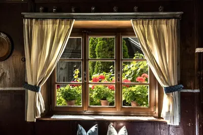 a window with potted plants on it with curtains at Gasthof Tschötscherhof in Castelrotto