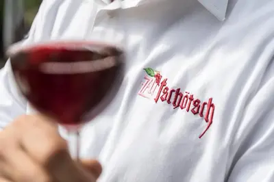 a man is holding a glass of red wine at Gasthof Tschötscherhof in Castelrotto